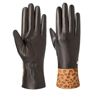 Dressing Gloves