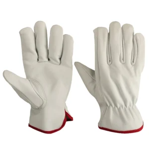 Driving Gloves