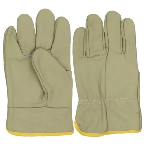 Driving Gloves
